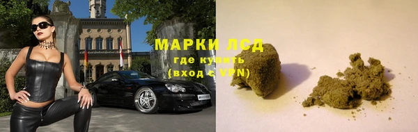 дмт Алзамай