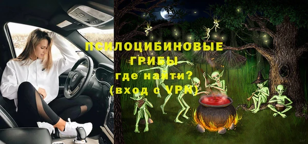 спиды Алексеевка